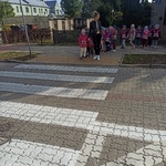 gumisie ćwiczą przechodzenie przez przejście dla pieszych.jpg