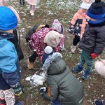 Smerfiki próbują lepić kule.jpg