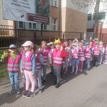 Gumisie w drodze do muzeum.jpg