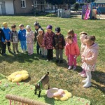 Smerfiki podziwiają małe koźlątko.jpg