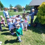 Smerfiki ubierają stracha.jpg