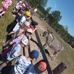 gumisie w mini zoo.jpg