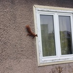 Niespodziewane spotkanie podczas wycieczki .jpg