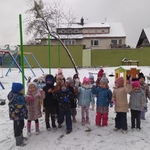 Gumisie bawią się na śniegu.jpg