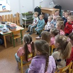 Gumisie oglądają naturalne okazy owoców i warzyw .jpg