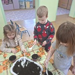Zakładanie hodowli szczypioru gr I Smerfiki.jpg