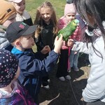 zapoznanie z papugą Kiwi.jpg