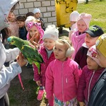 Pani pokazuje Gumisiom papugę.jpg