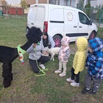 Puchata Radość w przedszkolu.jpg