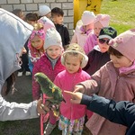 Gumisie dotykają papugę.jpg