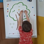 Drzewo dobrych decyzji - gr 1.jpg