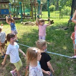 Gumisie sprawdzają swoją równowagę.jpg